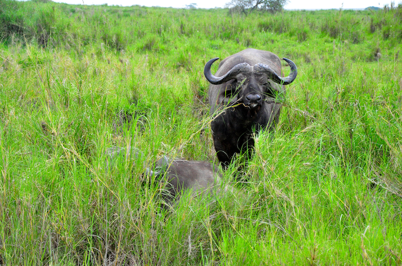 Melanie Heinrich Travel Images Africa